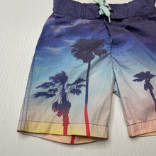 Load image into Gallery viewer, Boys Pumpkin Patch, lightweight board shorts, adjustable, wash fade, FUC, size 2,  