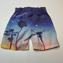 Load image into Gallery viewer, Boys Pumpkin Patch, lightweight board shorts, adjustable, wash fade, FUC, size 2,  
