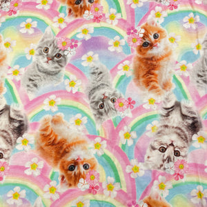 Girls Anko, cotton tee / top, cats, GUC, size 7,  