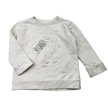 Load image into Gallery viewer, Boys Tommy Bahama, long sleeve top / lightweight sweater, small marks throughout, FUC, size 2,  