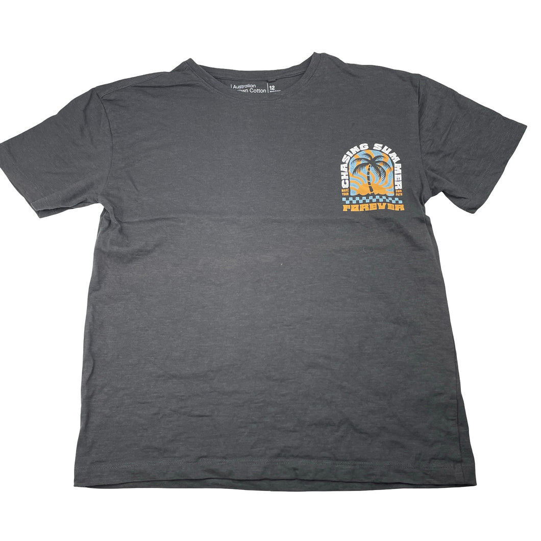 Boys Anko, Aus cotton tee / top, EUC, size 12,  