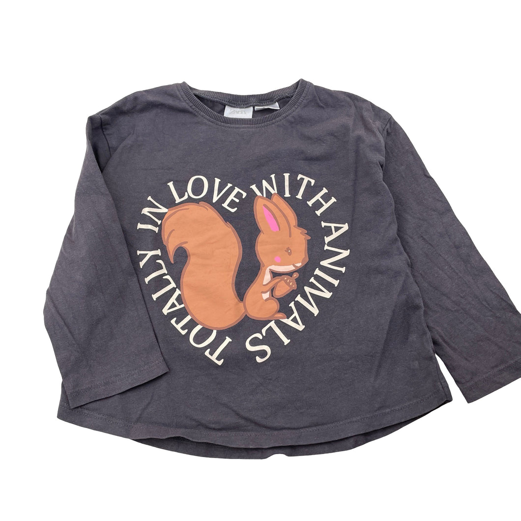 Girls Zara, grey cotton long sleeve tee / top, GUC, size 3-4,  