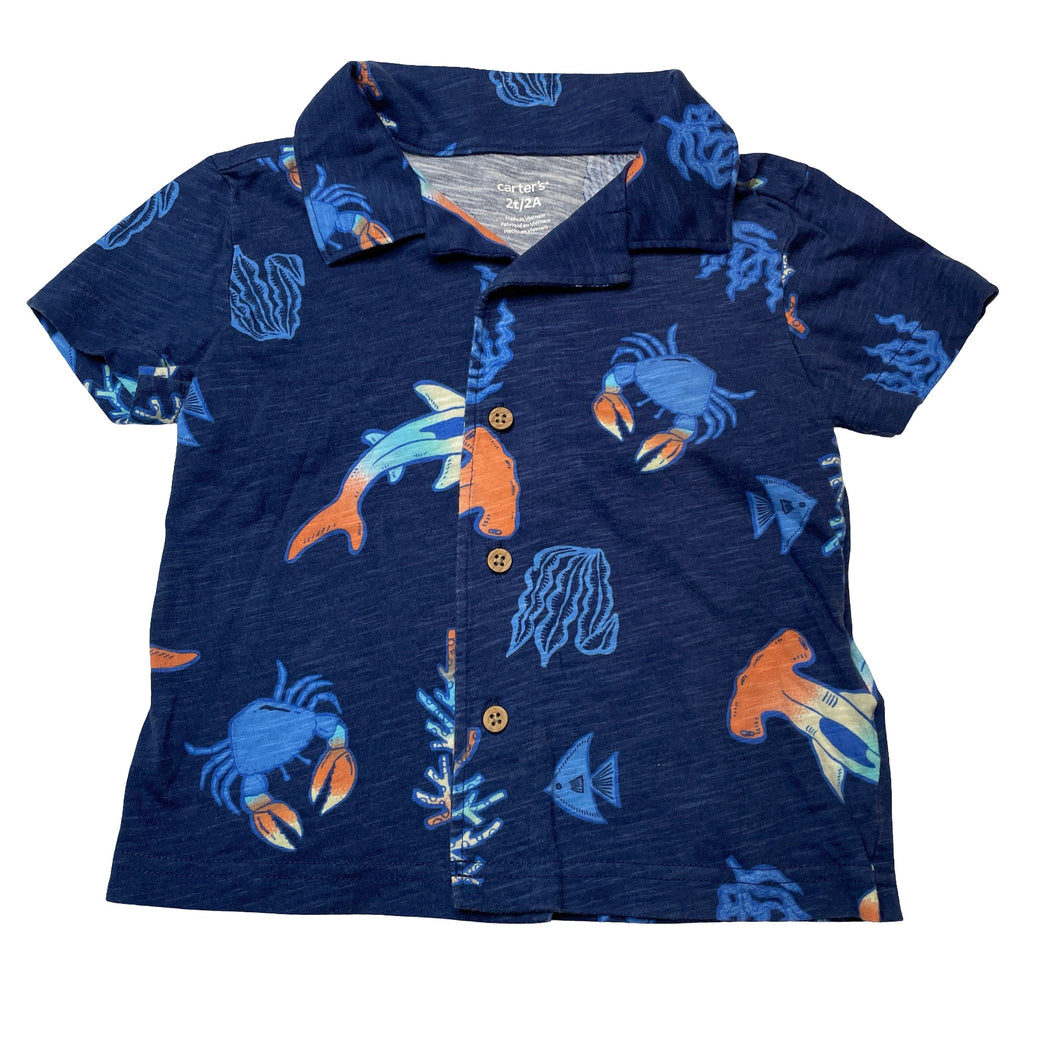 Boys Carters, soft feel cotton short sleeve shirt, GUC, size 2,  