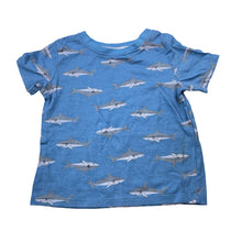 Load image into Gallery viewer, Boys Dymples, lightweight cotton tee / top, sharks, FUC, size 1,  