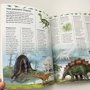 Books STICKER FACTS, DINOSAURS, paperback, EUC, size ,  