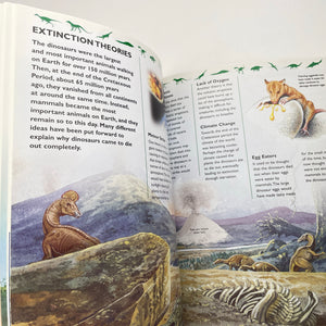 Books STICKER FACTS, DINOSAURS, paperback, EUC, size ,  
