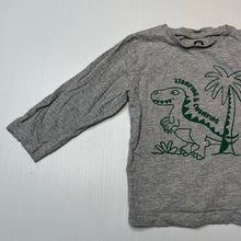 Load image into Gallery viewer, Boys Brilliant Basics, long sleeve tee / top, dinosaur, GUC, size 2,  