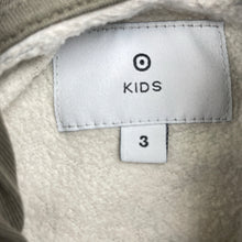 Load image into Gallery viewer, Boys Target, fleece lined hoodie sweater, dinosaurs, FUC, size 3,  