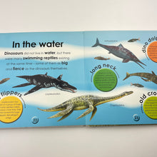 Load image into Gallery viewer, Books First Facts, Dinosaurs, by Charlie Gardner, hardback, GUC, size ,  