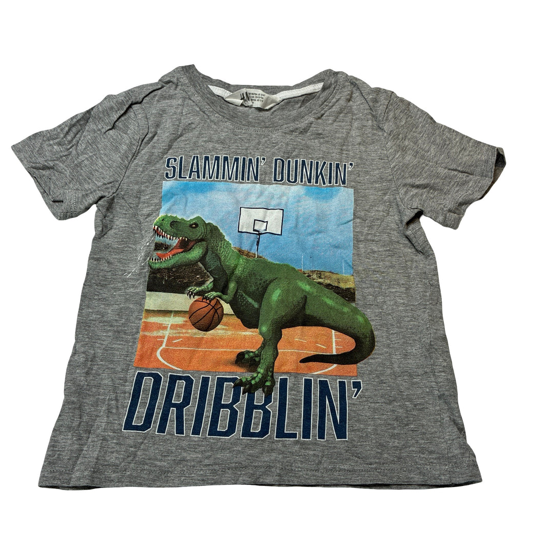 Boys H&M, grey marle tee / top, dinosaur, GUC, size 3-4,  