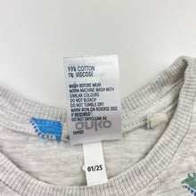 Load image into Gallery viewer, Boys Anko, long sleeve tee / top, dinosaurs, GUC, size 1,  