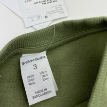 Load image into Gallery viewer, Boys Brilliant Basics, fleece lined sweater / jumper, dinosaur, NEW, size 3,  