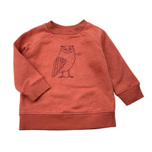 Load image into Gallery viewer, Boys Anko, fleece-lined sweater / jumoer, owl, FUC, size 1,  