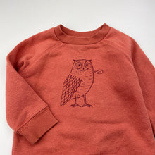 Load image into Gallery viewer, Boys Anko, fleece-lined sweater / jumoer, owl, FUC, size 1,  