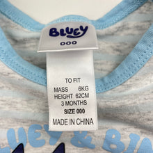 Load image into Gallery viewer, Unisex Bluey, stretchy bodysuit / romper, Bluey &amp; Bingo, EUC, size 000,  