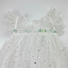 Load image into Gallery viewer, Girls Rabity, Disney Frozen tulle party dress, EUC, size 5, L: 60cm