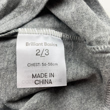 Load image into Gallery viewer, Boys Brilliant Basics, grey stretchy singlet top, EUC, size 2-3,  