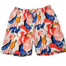 Load image into Gallery viewer, Boys DeFacto, lined lightweight boardshorts, elasticated, EUC, size 9-10,  