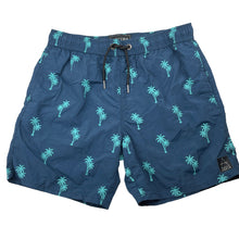 Load image into Gallery viewer, Boys LUCID, lightweight boardshorts, elasticated, EUC, size 14,  