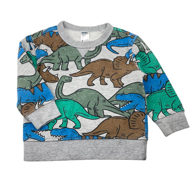 Boys Anko, fleece-lined sweater / jumper, dinosaurs, FUC, size 2,  