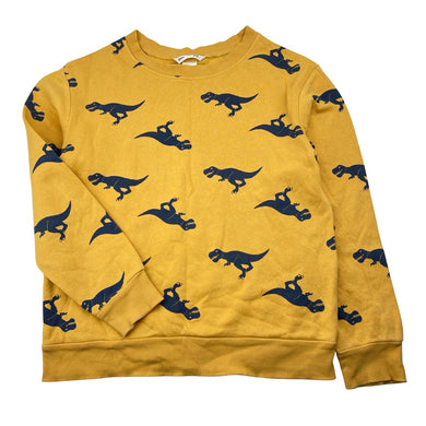 Boys H&M, lightweight sweater / jumper, dinosaurs, GUC, size 7-8,  