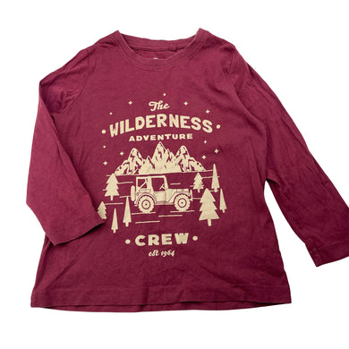 Boys Brilliant Basics, cotton long sleeve tee / top, GUC, size 3,  