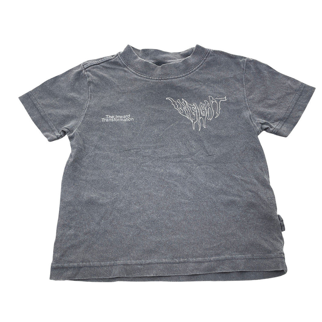 Boys Insight, cotton tee / top (wash fade), FUC, size 2-3,  