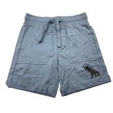 Load image into Gallery viewer, Boys Target, blue cotton shorts, elasticated, dinosaur, EUC, size 3,  