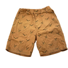 Load image into Gallery viewer, Boys UNIQLO, cotton shorts, elasticated, eagles, FUC, size 3-4,  