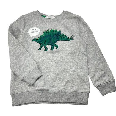 Boys H&M, fleece lined sweater / jumper, dinosaur, EUC, size 5-6,  