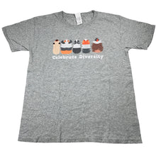 Load image into Gallery viewer, Unisex FRUIT OF THE LOOM, grey marle tee / top, Sz: M, armpit to armpit: 41cm, wash fade, FUC, size 10-12,  