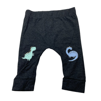 Unisex Baby Berry, stretchy leggings / bottoms, dinosaurs, EUC, size 00,  