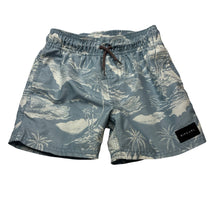 Load image into Gallery viewer, Boys RIP CURL, LAY DAYS, EUC, size 4,  
