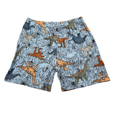 Load image into Gallery viewer, Boys KID, cotton pyjama shorts, dinosaurs, EUC, size 3,  