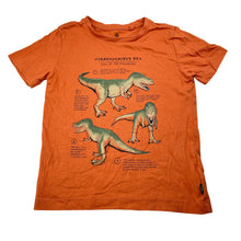 Load image into Gallery viewer, Boys Target, organic cotton tee / top, dinosaurs, FUC, size 4,  