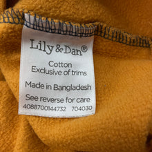 Load image into Gallery viewer, Boys Lily &amp; Dan, fleece lined cotton sweater / jumper, EUC, size 10,  