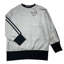 Load image into Gallery viewer, Boys Clothing &amp; Co, grey marle fleece lined sweater / jumper, FUC, size 10,  