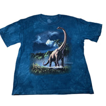 Load image into Gallery viewer, Boys THE MOUNTAIN, cotton tee / top, dinosaur, Sz: M, armpit to armpit: 40cm, GUC, size 10-12,  