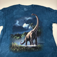 Load image into Gallery viewer, Boys THE MOUNTAIN, cotton tee / top, dinosaur, Sz: M, armpit to armpit: 40cm, GUC, size 10-12,  