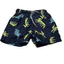 Load image into Gallery viewer, Boys Tilt, lightweight baord shorts, elasticated, dinosaurs, FUC, size 2,  