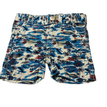 Load image into Gallery viewer, Boys Pumpkin Patch, cotton shorts, adjustable, EUC, size 0000,  