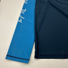 Load image into Gallery viewer, Boys Clothing &amp; Co, long sleeve rashie / swim top, small marks, FUC, size 16,  