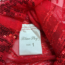 Load image into Gallery viewer, Girls Blue Sky, sheer mesh silk / polyester over/outer dress, GUC, size 1, L: 43cm
