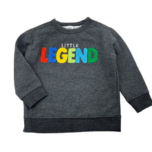 Load image into Gallery viewer, Boys Anko, embroidered fleece lined sweater / jumper, EUC, size 3,  