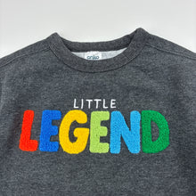 Load image into Gallery viewer, Boys Anko, embroidered fleece lined sweater / jumper, EUC, size 3,  