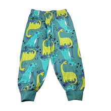 Load image into Gallery viewer, Boys KID, cotton pyjama pants / bottoms, dinosaurs, GUC, size 3,  