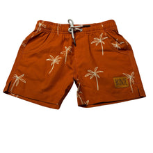 Load image into Gallery viewer, Boys BRONTE, lightweight stretch board shorts, elasticated, EUC, size 2,  
