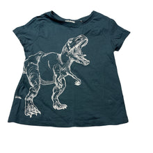 Load image into Gallery viewer, Boys Lily &amp; Dan, cotton tee / top, dinosaur, GUC, size 4,  