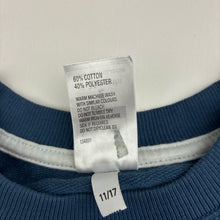 Load image into Gallery viewer, Boys Kids &amp; Co, lightweight sweater / jumper, lion, EUC, size 2,  