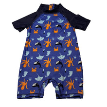 Load image into Gallery viewer, Boys Lily &amp; Dan, all-in-one rashie suit, GUC, size 1,  